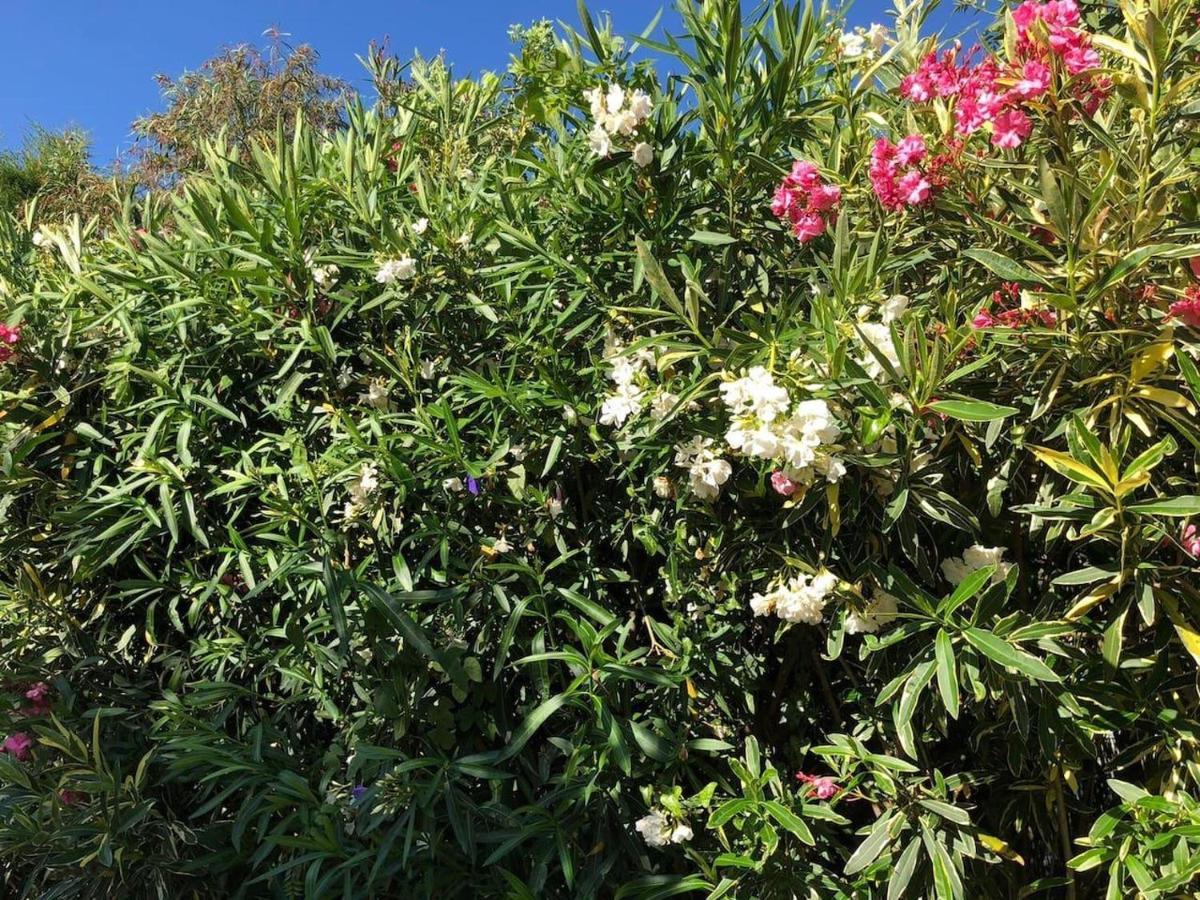 Lovely 2 Bed Apartment In Alcalalí 외부 사진