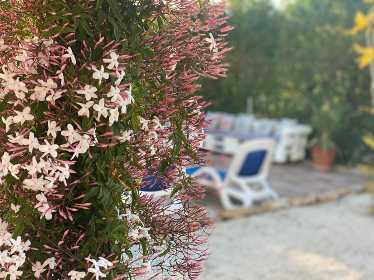 Lovely 2 Bed Apartment In Alcalalí 외부 사진